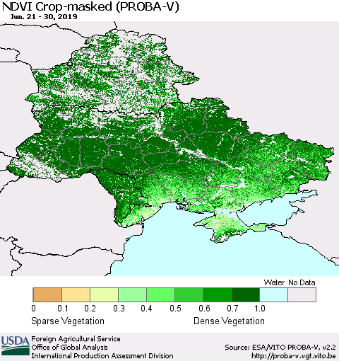 Ukraine, Moldova and Belarus NDVI Crop-masked (PROBA-V) Thematic Map For 6/21/2019 - 6/30/2019