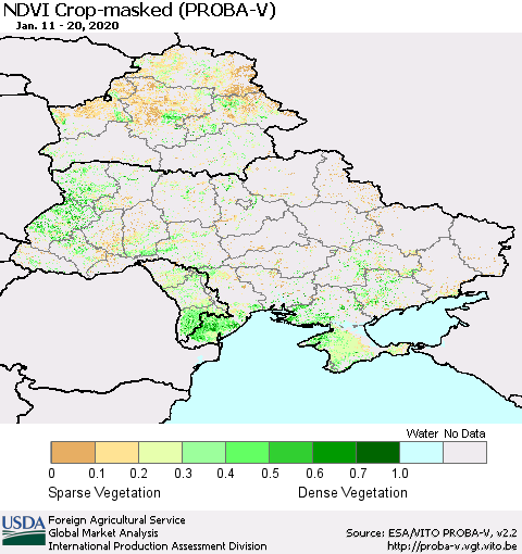 Ukraine, Moldova and Belarus NDVI Crop-masked (PROBA-V) Thematic Map For 1/11/2020 - 1/20/2020