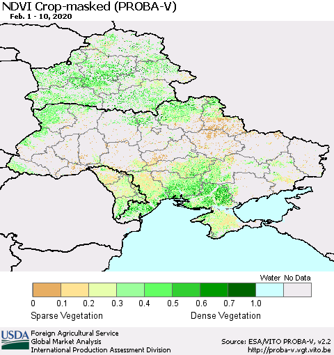 Ukraine, Moldova and Belarus NDVI Crop-masked (PROBA-V) Thematic Map For 2/1/2020 - 2/10/2020