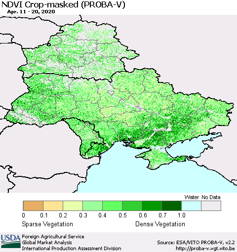 Ukraine, Moldova and Belarus NDVI Crop-masked (PROBA-V) Thematic Map For 4/11/2020 - 4/20/2020