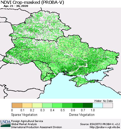 Ukraine, Moldova and Belarus NDVI Crop-masked (PROBA-V) Thematic Map For 4/21/2020 - 4/30/2020