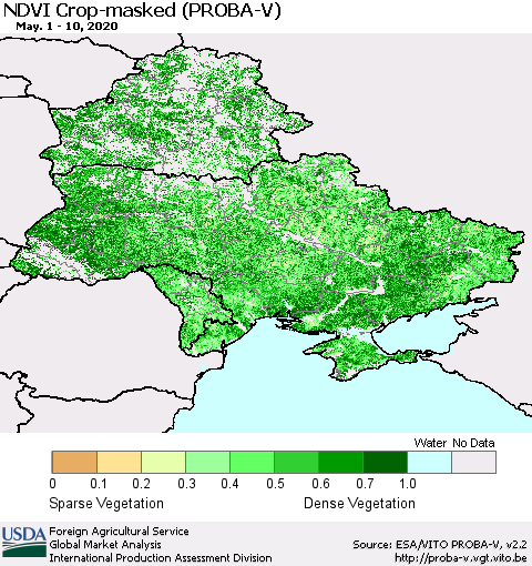 Ukraine, Moldova and Belarus NDVI Crop-masked (PROBA-V) Thematic Map For 5/1/2020 - 5/10/2020