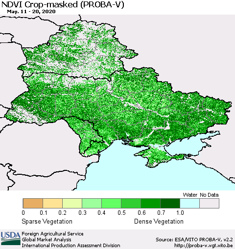 Ukraine, Moldova and Belarus NDVI Crop-masked (PROBA-V) Thematic Map For 5/11/2020 - 5/20/2020