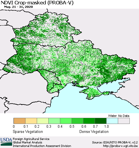 Ukraine, Moldova and Belarus NDVI Crop-masked (PROBA-V) Thematic Map For 5/21/2020 - 5/31/2020
