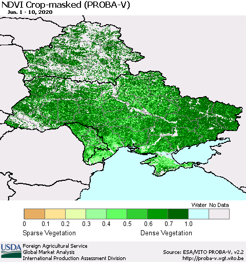 Ukraine, Moldova and Belarus NDVI Crop-masked (PROBA-V) Thematic Map For 6/1/2020 - 6/10/2020