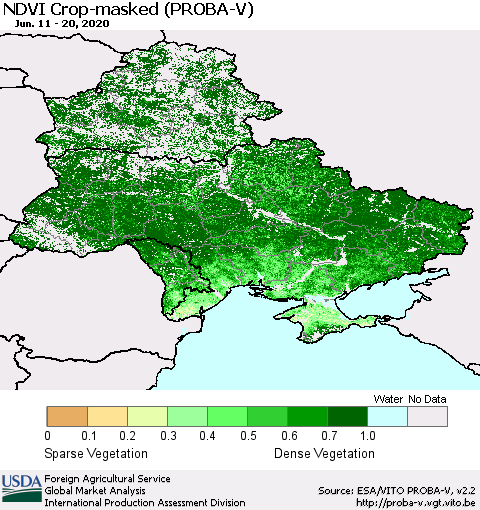 Ukraine, Moldova and Belarus NDVI Crop-masked (PROBA-V) Thematic Map For 6/11/2020 - 6/20/2020