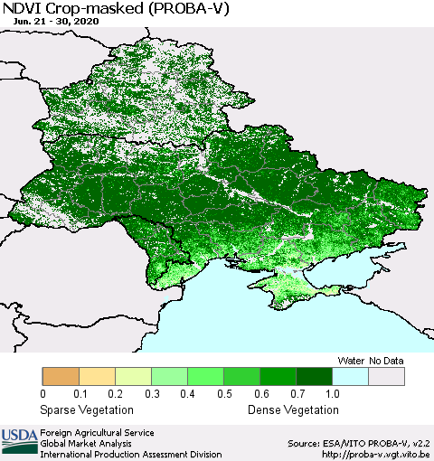 Ukraine, Moldova and Belarus NDVI Crop-masked (PROBA-V) Thematic Map For 6/21/2020 - 6/30/2020