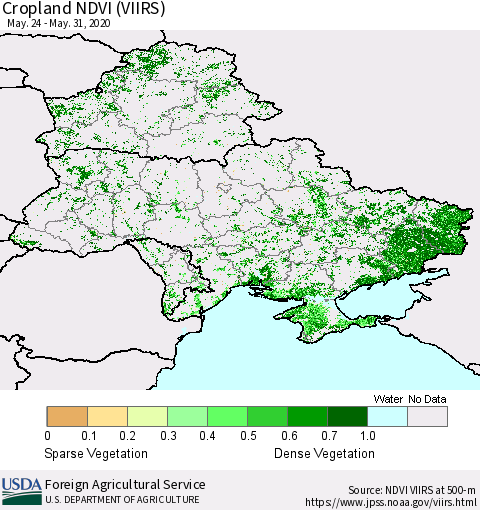 Ukraine, Moldova and Belarus Cropland NDVI (VIIRS) Thematic Map For 5/21/2020 - 5/31/2020