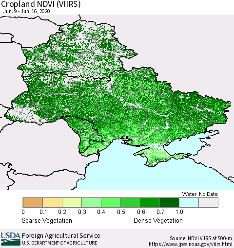 Ukraine, Moldova and Belarus Cropland NDVI (VIIRS) Thematic Map For 6/11/2020 - 6/20/2020