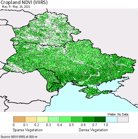 Ukraine, Moldova and Belarus Cropland NDVI (VIIRS) Thematic Map For 5/9/2021 - 5/16/2021