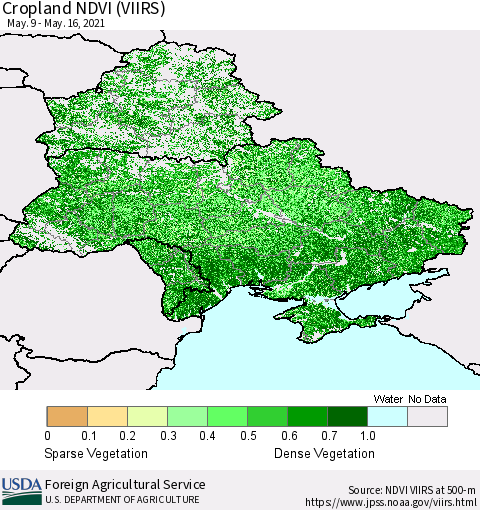 Ukraine, Moldova and Belarus Cropland NDVI (VIIRS) Thematic Map For 5/11/2021 - 5/20/2021