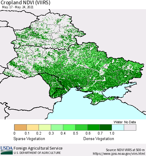 Ukraine, Moldova and Belarus Cropland NDVI (VIIRS) Thematic Map For 5/21/2021 - 5/31/2021