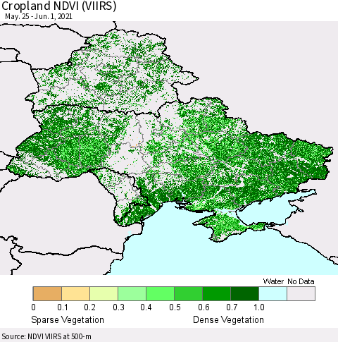 Ukraine, Moldova and Belarus Cropland NDVI (VIIRS) Thematic Map For 5/25/2021 - 6/1/2021