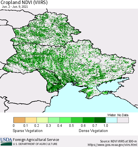 Ukraine, Moldova and Belarus Cropland NDVI (VIIRS) Thematic Map For 6/1/2021 - 6/10/2021