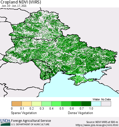 Ukraine, Moldova and Belarus Cropland NDVI (VIIRS) Thematic Map For 6/11/2021 - 6/20/2021