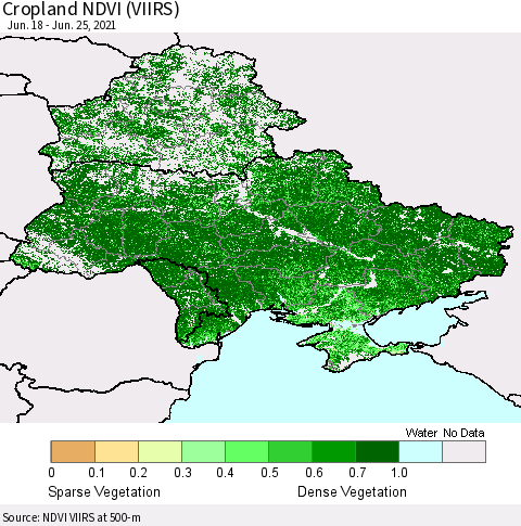 Ukraine, Moldova and Belarus Cropland NDVI (VIIRS) Thematic Map For 6/18/2021 - 6/25/2021