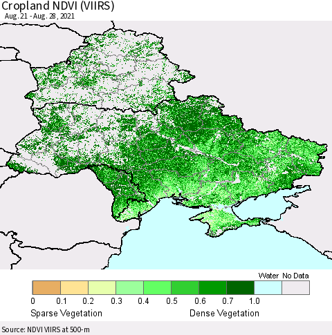 Ukraine, Moldova and Belarus Cropland NDVI (VIIRS) Thematic Map For 8/21/2021 - 8/28/2021