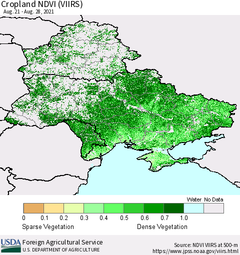 Ukraine, Moldova and Belarus Cropland NDVI (VIIRS) Thematic Map For 8/21/2021 - 8/31/2021