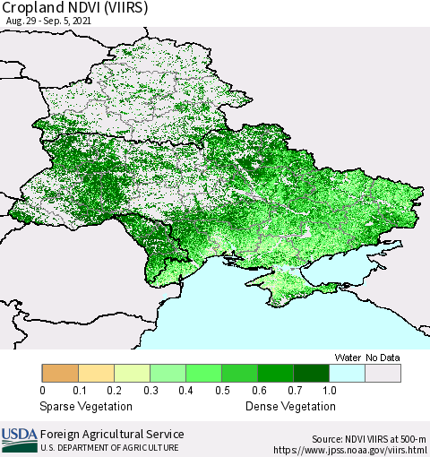 Ukraine, Moldova and Belarus Cropland NDVI (VIIRS) Thematic Map For 9/1/2021 - 9/10/2021