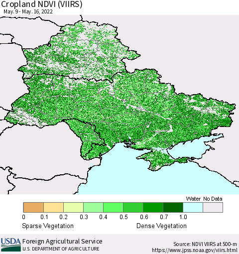Ukraine, Moldova and Belarus Cropland NDVI (VIIRS) Thematic Map For 5/11/2022 - 5/20/2022
