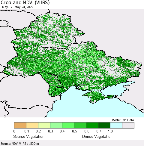 Ukraine, Moldova and Belarus Cropland NDVI (VIIRS) Thematic Map For 5/17/2022 - 5/24/2022