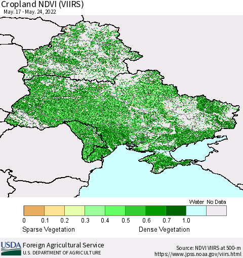 Ukraine, Moldova and Belarus Cropland NDVI (VIIRS) Thematic Map For 5/21/2022 - 5/31/2022