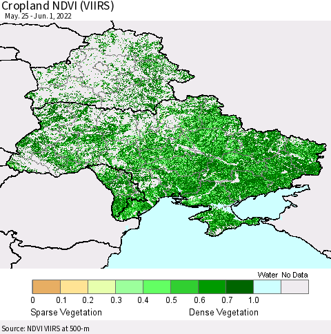 Ukraine, Moldova and Belarus Cropland NDVI (VIIRS) Thematic Map For 5/25/2022 - 6/1/2022