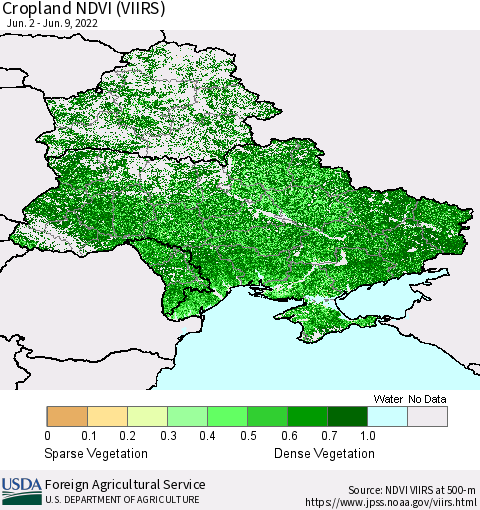 Ukraine, Moldova and Belarus Cropland NDVI (VIIRS) Thematic Map For 6/1/2022 - 6/10/2022