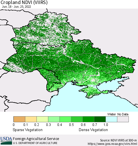 Ukraine, Moldova and Belarus Cropland NDVI (VIIRS) Thematic Map For 6/21/2022 - 6/30/2022