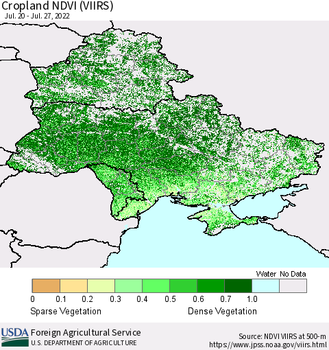 Ukraine, Moldova and Belarus Cropland NDVI (VIIRS) Thematic Map For 7/21/2022 - 7/31/2022