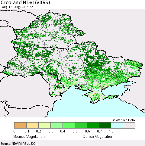 Ukraine, Moldova and Belarus Cropland NDVI (VIIRS) Thematic Map For 8/11/2022 - 8/20/2022