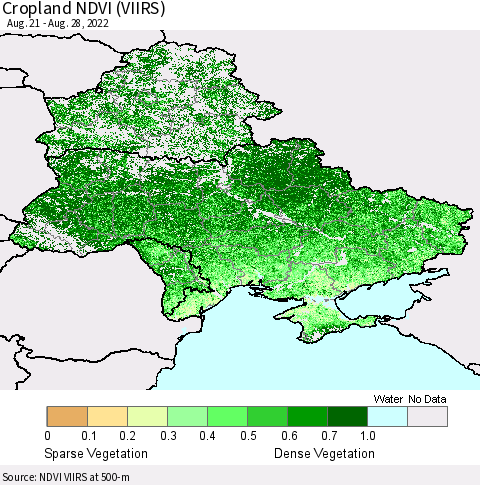 Ukraine, Moldova and Belarus Cropland NDVI (VIIRS) Thematic Map For 8/21/2022 - 8/28/2022