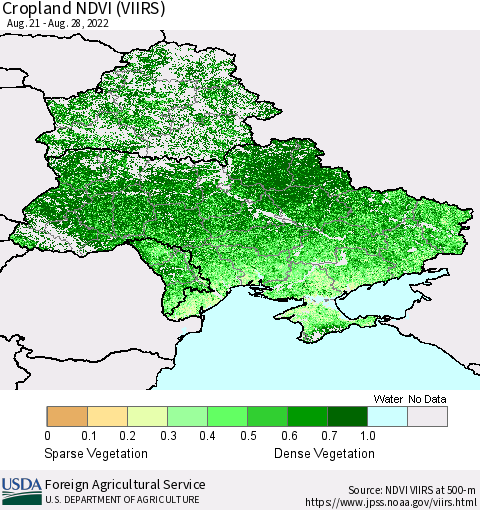 Ukraine, Moldova and Belarus Cropland NDVI (VIIRS) Thematic Map For 8/21/2022 - 8/31/2022