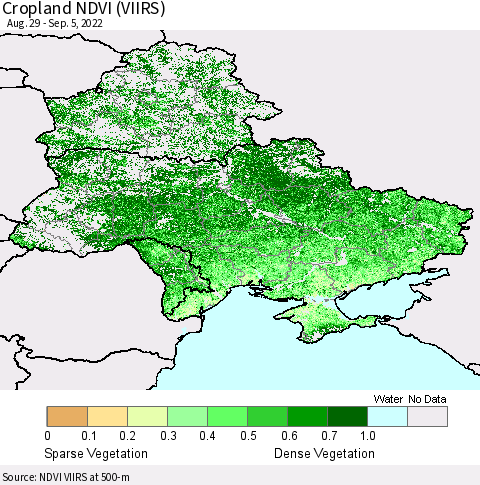 Ukraine, Moldova and Belarus Cropland NDVI (VIIRS) Thematic Map For 8/29/2022 - 9/5/2022