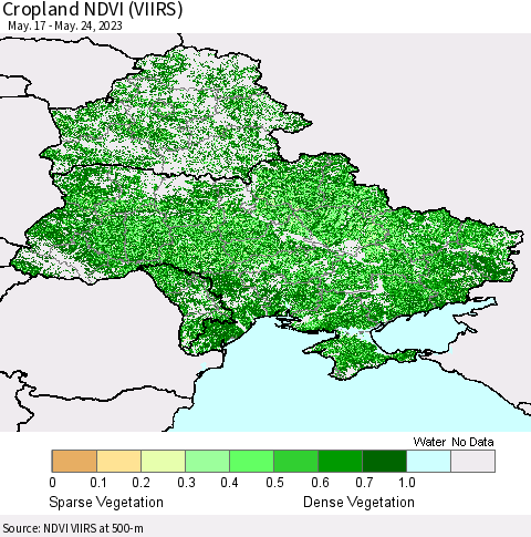 Ukraine, Moldova and Belarus Cropland NDVI (VIIRS) Thematic Map For 5/17/2023 - 5/24/2023
