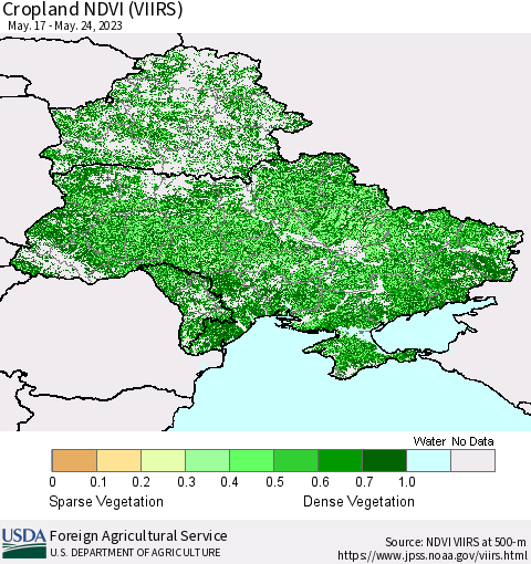 Ukraine, Moldova and Belarus Cropland NDVI (VIIRS) Thematic Map For 5/21/2023 - 5/31/2023