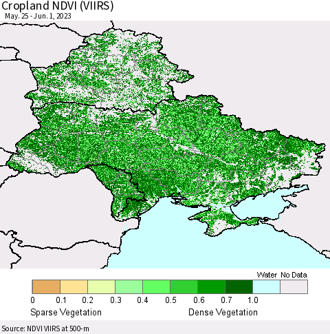 Ukraine, Moldova and Belarus Cropland NDVI (VIIRS) Thematic Map For 5/25/2023 - 6/1/2023