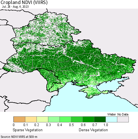 Ukraine, Moldova and Belarus Cropland NDVI (VIIRS) Thematic Map For 7/28/2023 - 8/4/2023