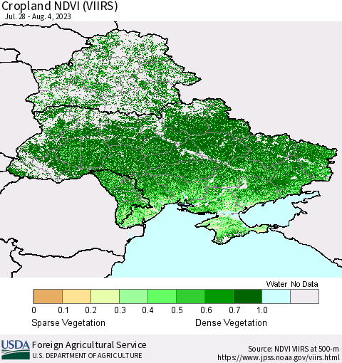 Ukraine, Moldova and Belarus Cropland NDVI (VIIRS) Thematic Map For 8/1/2023 - 8/10/2023