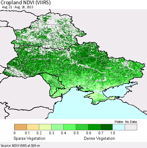Ukraine, Moldova and Belarus Cropland NDVI (VIIRS) Thematic Map For 8/21/2023 - 8/28/2023