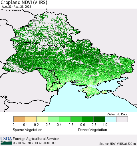 Ukraine, Moldova and Belarus Cropland NDVI (VIIRS) Thematic Map For 8/21/2023 - 8/31/2023
