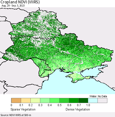 Ukraine, Moldova and Belarus Cropland NDVI (VIIRS) Thematic Map For 8/29/2023 - 9/5/2023