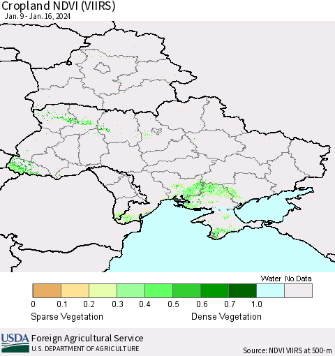 Ukraine, Moldova and Belarus Cropland NDVI (VIIRS) Thematic Map For 1/11/2024 - 1/20/2024
