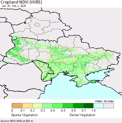 Ukraine, Moldova and Belarus Cropland NDVI (VIIRS) Thematic Map For 1/25/2024 - 2/1/2024