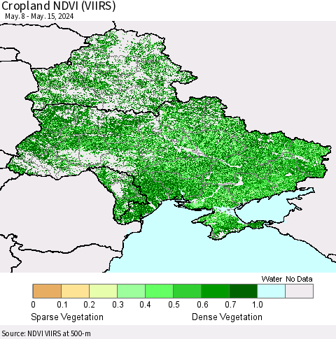 Ukraine, Moldova and Belarus Cropland NDVI (VIIRS) Thematic Map For 5/8/2024 - 5/15/2024