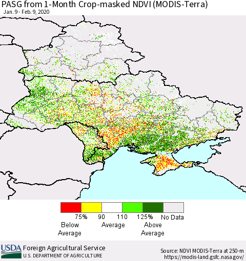 Ukraine, Moldova and Belarus PASG from 1-Month Cropland NDVI (Terra-MODIS) Thematic Map For 2/1/2020 - 2/10/2020