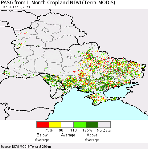 Ukraine, Moldova and Belarus PASG from 1-Month Cropland NDVI (Terra-MODIS) Thematic Map For 2/2/2023 - 2/9/2023