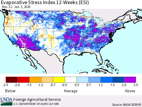 United States Evaporative Stress Index (ESI), 12-Weeks Thematic Map For 6/1/2020 - 6/7/2020