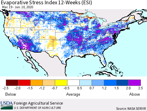 United States Evaporative Stress Index (ESI), 12-Weeks Thematic Map For 6/8/2020 - 6/14/2020