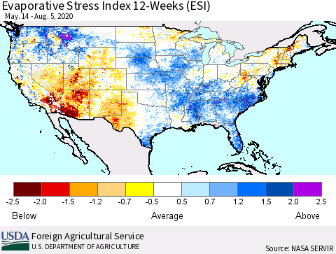 United States Evaporative Stress Index 12-Weeks (ESI) Thematic Map For 8/3/2020 - 8/9/2020